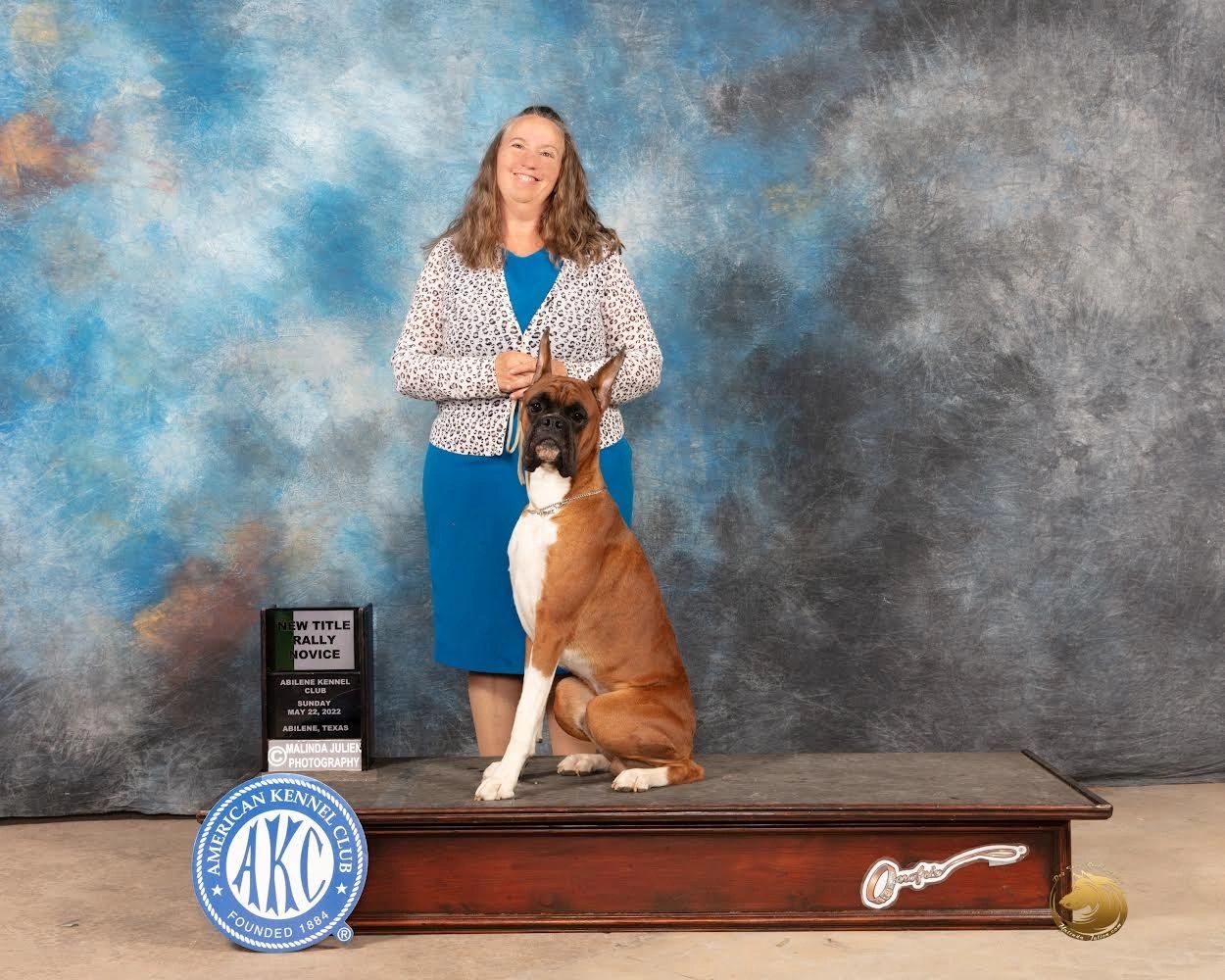 Bandit — CH Bessbox Rams Bandit, RAM BOXERS fawn Boxer