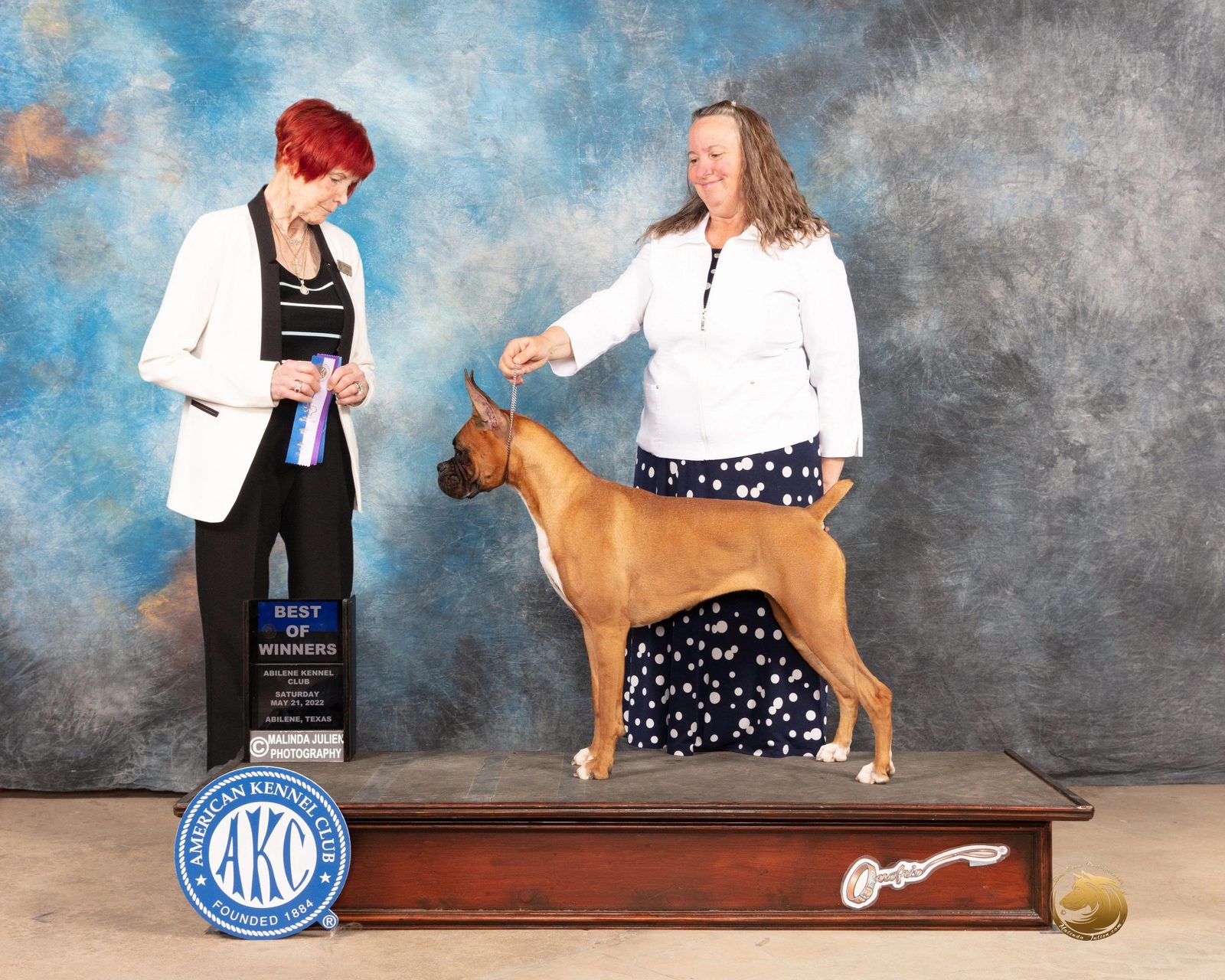 AKC Boxer awarded Best of Winners under Judge Terri Houston, RAM BOXERS champion bloodlines