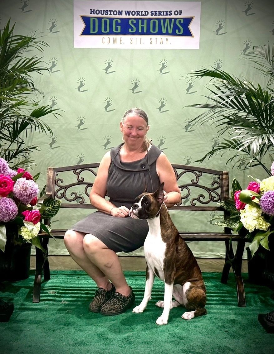 Pepper — Rams Destined To Wynn, RAM BOXERS brindle Boxer